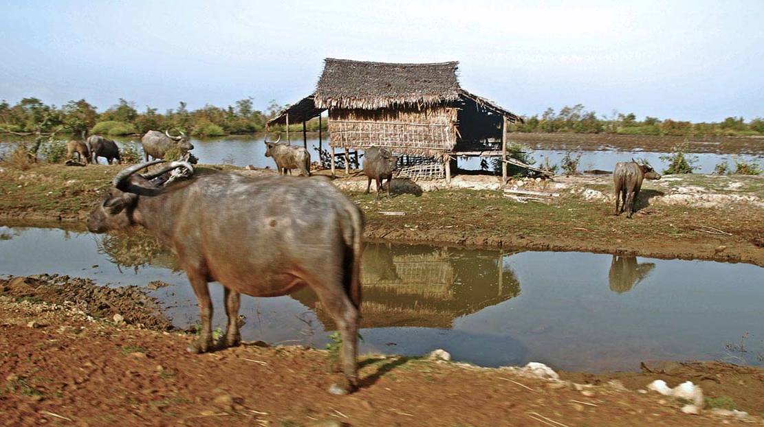 Copy of 1-zarni-prisonnier-politique.jpg