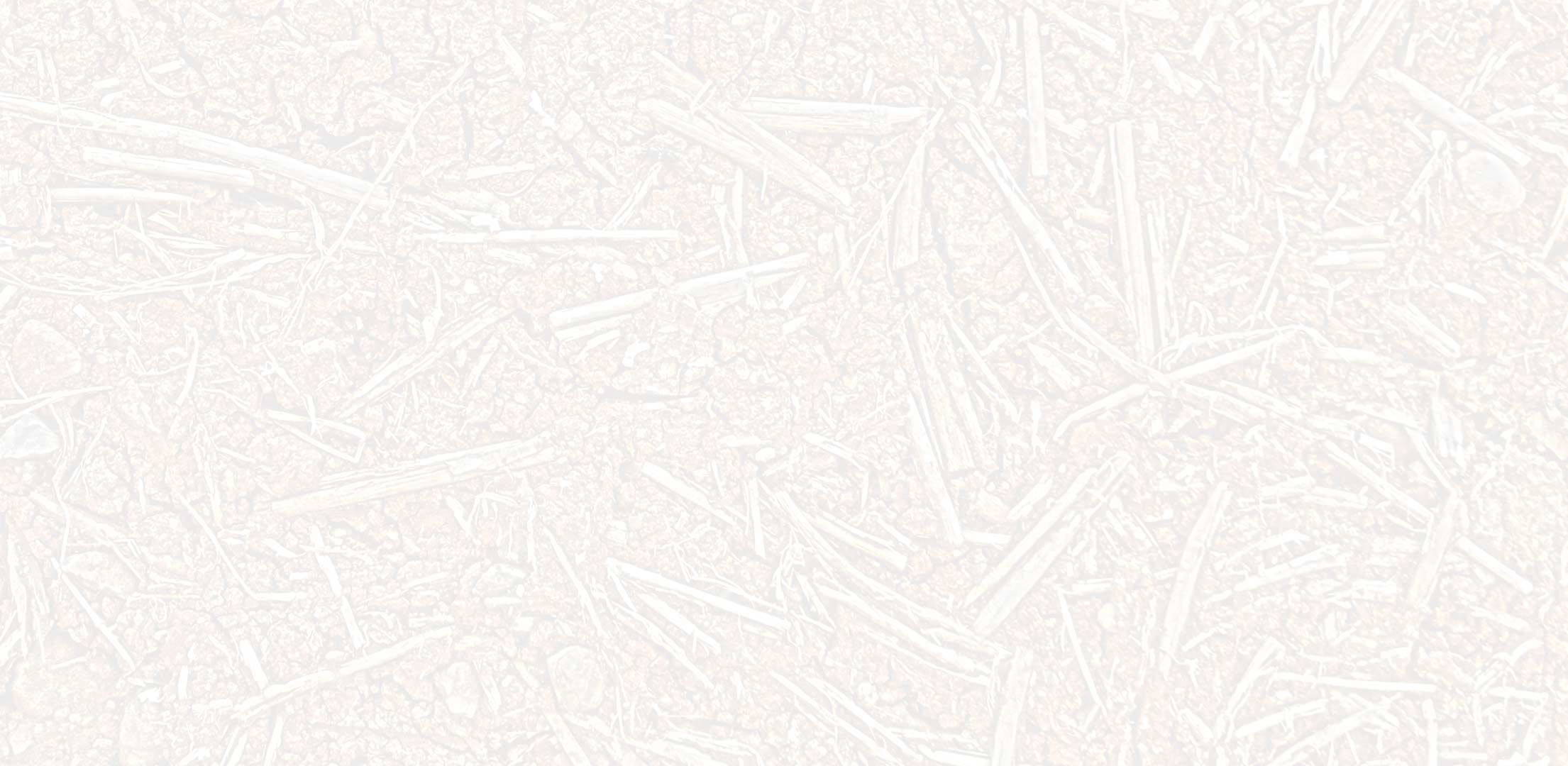 fond-article-nini 6.jpg