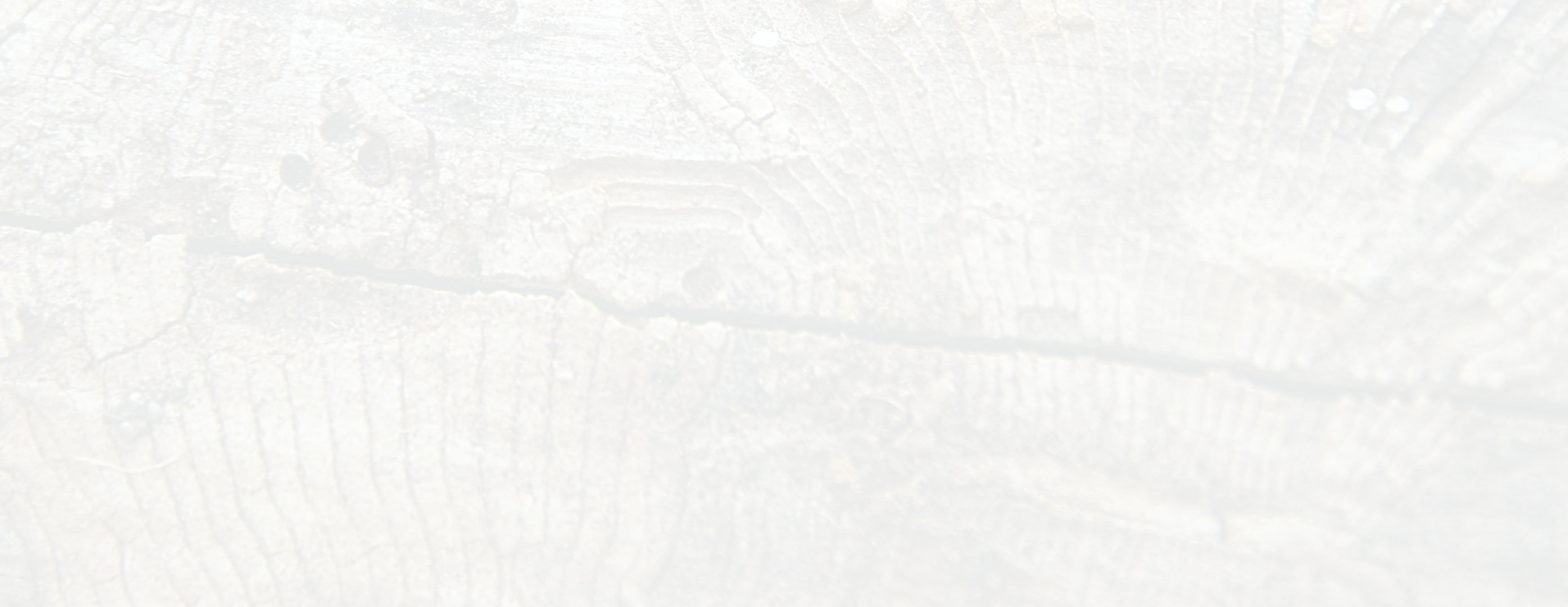 Copy of fond-zarni-art-6.jpg